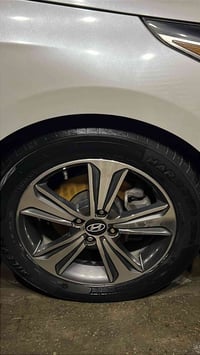 اكسنت بلدي • حجم ١٦ • اسود حديد