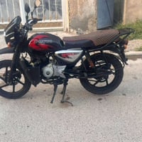 بوكسر جبلي • مرقّم • ٢٠٢٣