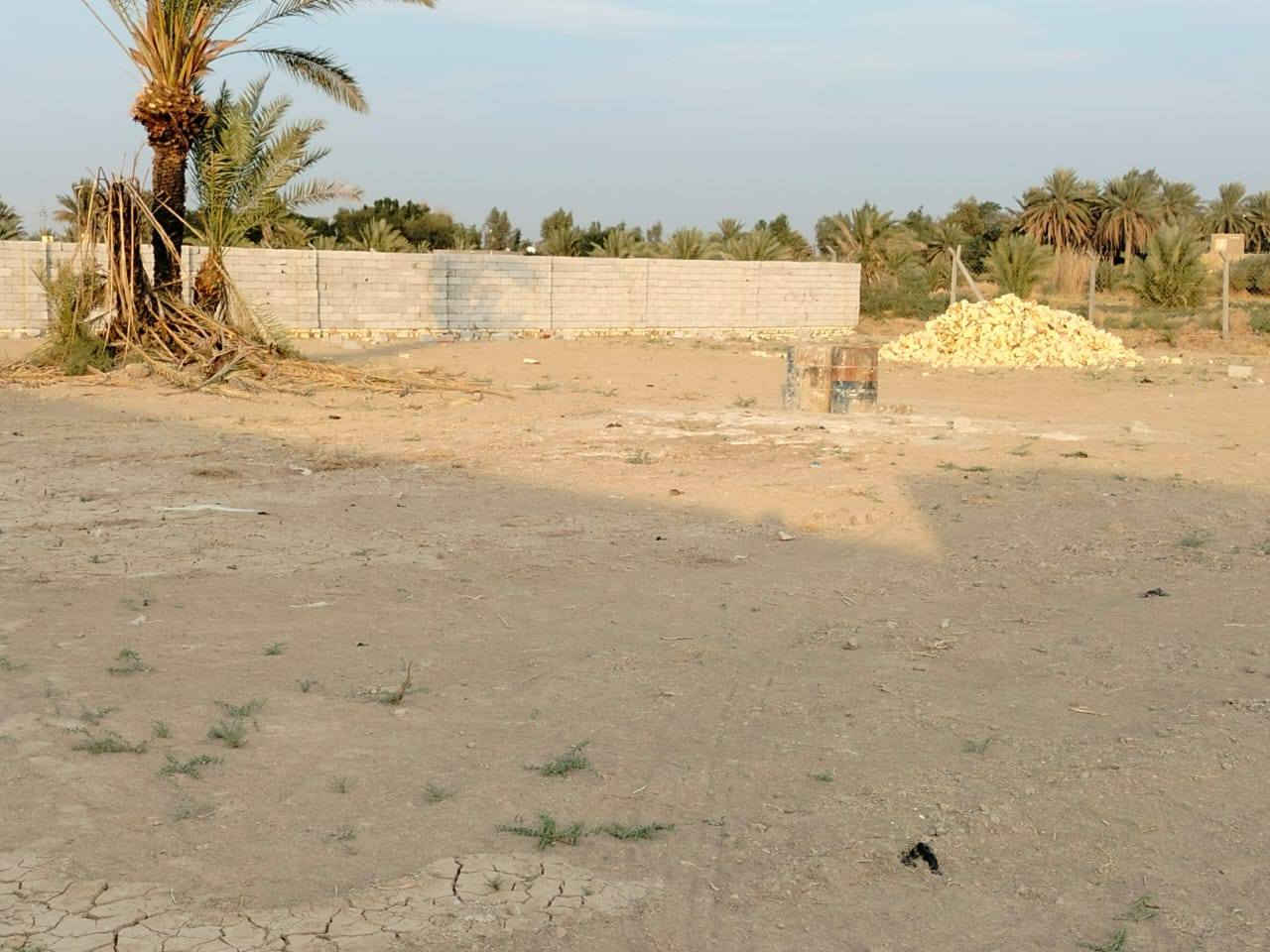 سلام عليكم دونم للبيع سند ٢٥ مكان شافعيه نزلت سيد مجيد *********** واتساب
