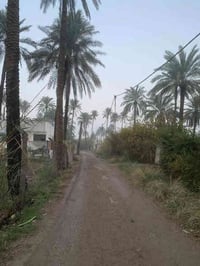 بستان لبيع المساحه ٣٠٠ متر الواجهيه ٣٤ متر   واصل مي وكهرباء   ٠٧٧٢١٧٠...