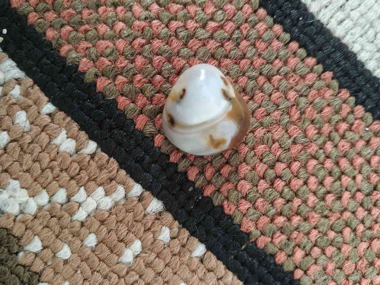 سليماني مصور قيم واخذ
ليماني


**إذا كنت صاحب هذا الإعلان وتريد حذفه لأي سبب، رجاءا أرسل رسالة إلى الدعم الفني**