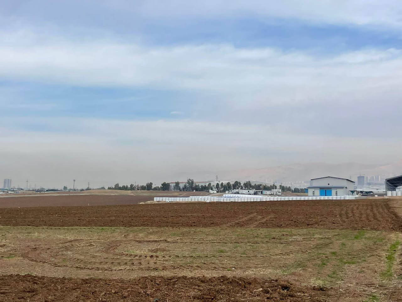 زه وي بو فروشتن له ژاله ي جه زا جاف ١٢٥٠ مه تر سيعري ٥٥ گه لاو معامه له *********** السليمانية, العراق
