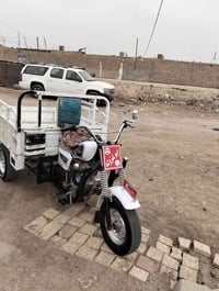 ستوته دايون • موديل ١٩ • اوراق ضايعه