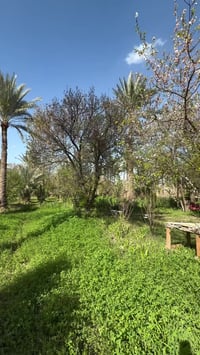 اذا عندك عقار تحب تعرضه للبيع او الايجار اتواصل ويانه تفاصيل اكثر :  0...