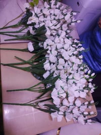 ورد جديد • ١١ قطعة • تزيين