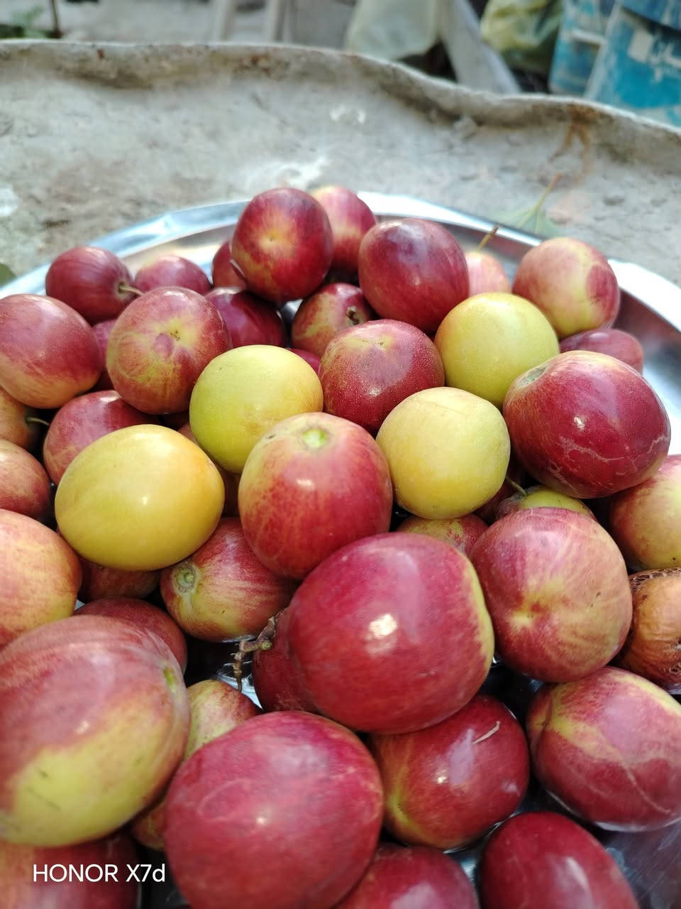 السلام عليكم ورحمة الله وبركاته الي حاب يطعم السدر اني بالخدمه اي استفسار بخصوص السدر اني خادم رقمي بي واتساب ***********0
