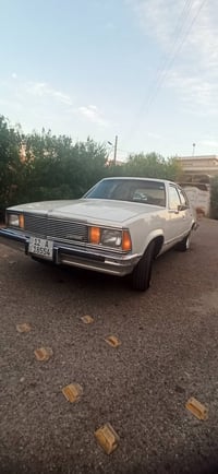 ١٩٨١ • اوتوماتيك • بدون ضرر