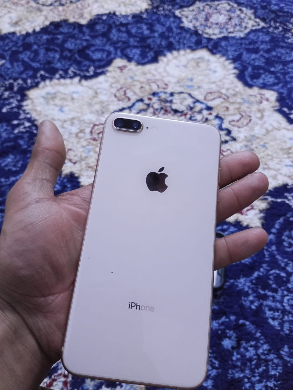 ايفون ٨ للبيع
ذاكره ٦٤
مبدل بطاريه  جديده نوعيه اصليه 
فقط البصمه والكامره الخلفية متشتغل وكع مني احتمال فاصخه 
السعر ٧٠


**إذا كنت صاحب هذا الإعلان وتريد حذفه لأي سبب، رجاءا أرسل رسالة إلى الدعم الفني**