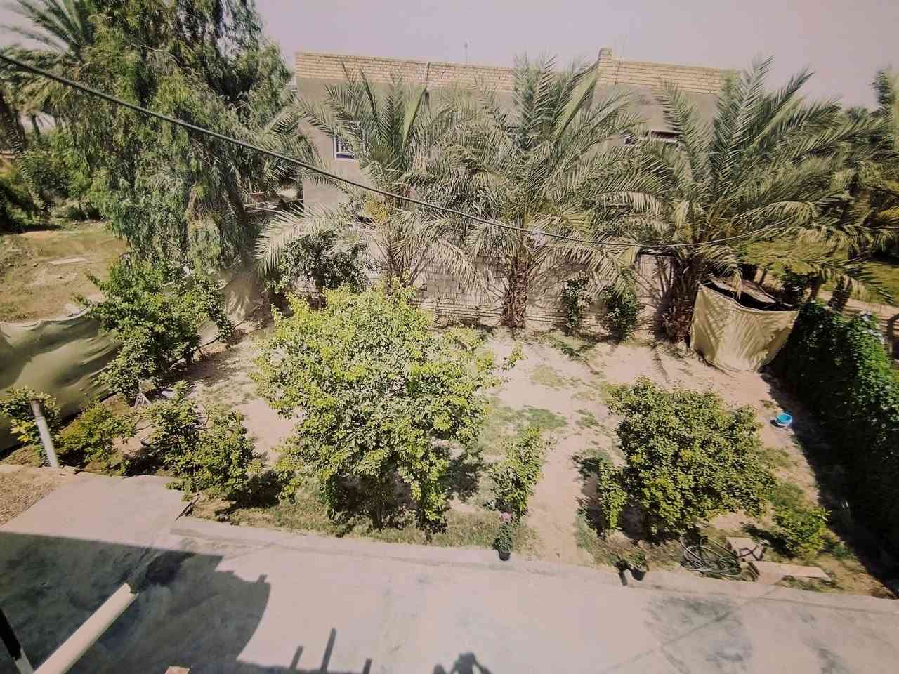 بيت لبيع مع قطعه
مساحه الكليه 600م
البيت يحتوي على 
غرف نوم (2)
هوال  مطبخ 
واستقبال
العنوان بابل قضاء المحاويل 
يبعد عن شارع حله بغداد ٢٠٠م
خلف معارض المحاويل 
👈 سعر 👉 ٦٥ مليون
متواجدين على الأرقام التاليه 
***********
