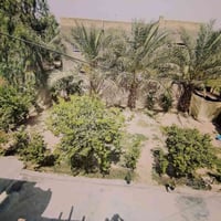 بيت وقطعة • ٦٠٠م • بابل المحاويل