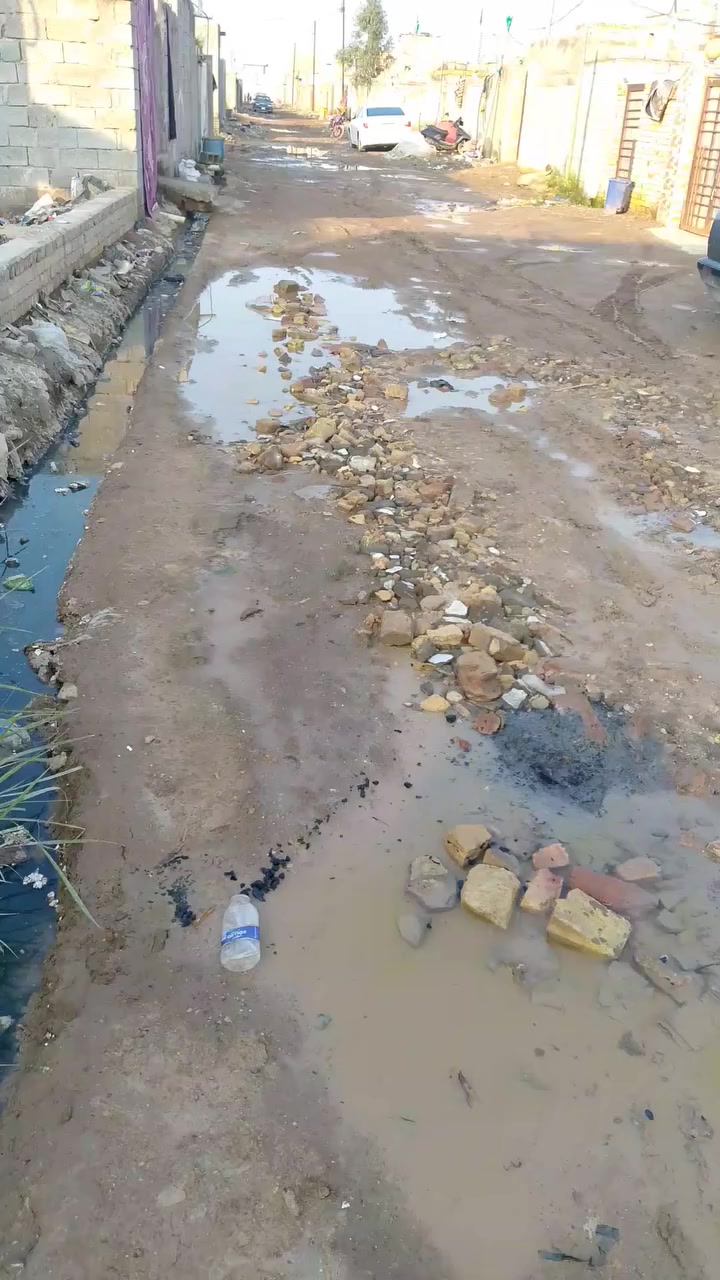 السلام عليكم هيكل زراعي للبيع ابحي الشهداء مساحه250ابكاع غالب الطعيمة ***********
