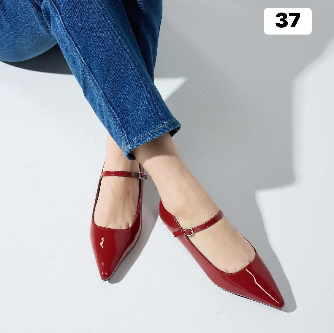 احذيه نسائيه ماركت شي ان


**إذا كنت صاحب هذا الإعلان وتريد حذفه لأي سبب، رجاءا أرسل رسالة إلى الدعم الفني**