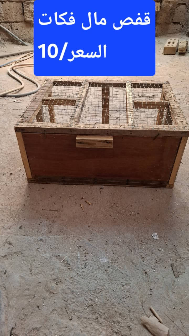 للبيع كلمن وسعرة


**إذا كنت صاحب هذا الإعلان وتريد حذفه لأي سبب، رجاءا أرسل رسالة إلى الدعم الفني**