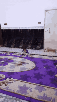 بيت لبيع 300 متر في منطقة المدثره في شارع الإمام علي يحتوي على ثلاث غرف نوم صاله  مطبخ ديوانيه مناور عدد اثنين صحيات ساحة جبيره مساحته 90متر تقريباً وحديقة جبيره السعر 70 وبيه مجال *********** بيه واتساب
