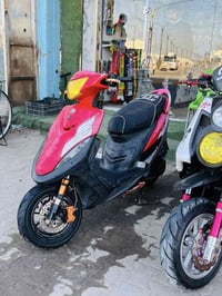 ٥٥ • بلادي • كامل