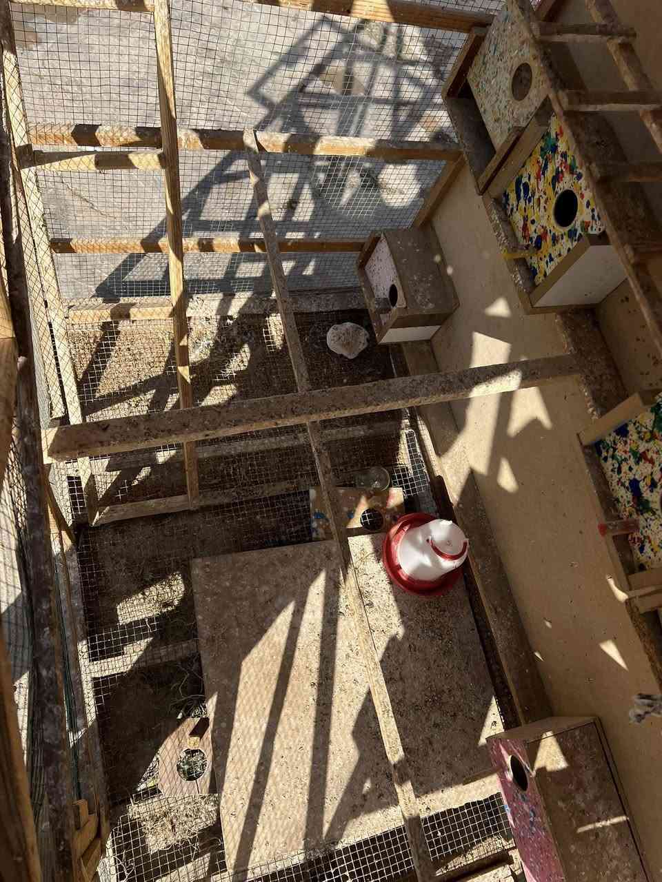 السلام عليكم قفص للبيع حيل حلو  بيا24 بيت وبيا  سله تنسحب من جوه مال تنضيف سعر45الف وبيا مجال مال مستعجل الشراي يتصل ***********
