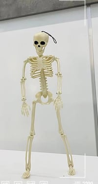هيكل عظمي • ٤٠سم • توصيل