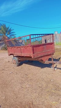 عربانه اسكندريه • نضيفه • ميسان