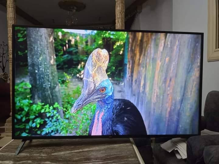 شاشة LG الحجم 43 سمارت ام الانترنيت صنأعة كورية
النظافة فول تفتح جميع التطبقات مكفولة من فتح وتصليح
السعر 225 الف مكان بغداد شعلة ***********
