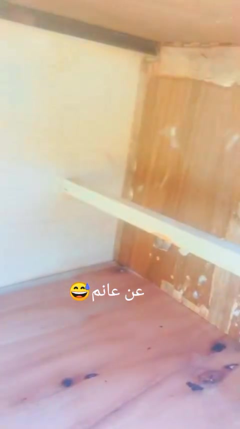 السلام عليكم متاح خانات ام 10 طبك تفصل جديد الوجه 60 الرتفاع 40النزال 50 الخنه الوحده خانات كبار سعر 70 وبيهن مجال قليل واشتغل جميع القفص واخانات حسب الطلب مكاني بغداد حي النصر ***********
