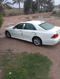 شاهينه • ٢٠٠٤ • فلوجه