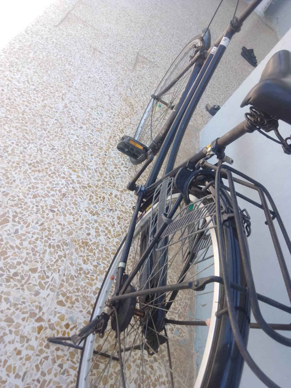 باسكل حدباء للبيع حربي بلادي .
حجم 27 جديد السعر خاص للشراي


**إذا كنت صاحب هذا الإعلان وتريد حذفه لأي سبب، رجاءا أرسل رسالة إلى الدعم الفني**