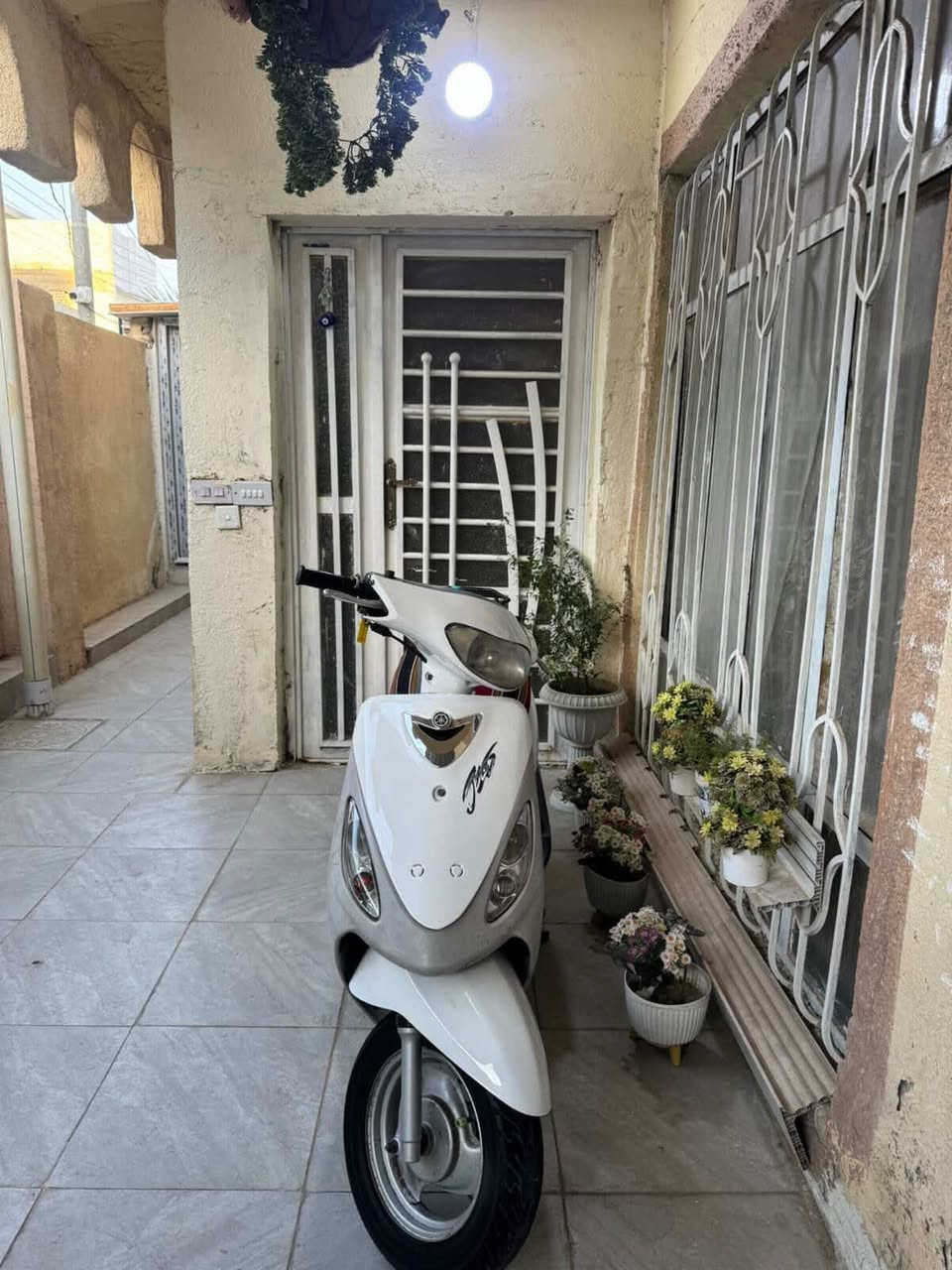 ماكس منغولي بلاد بوشه49 دراجة خير من الله معدل وشلعه مكفولة من النقص فقط السلف مبدل ما مفتوحة دراجه تجي وتشوف السعرر 650 وبيها مجال مكاني كربلاء وبيها وصل معرض رقم ***********
