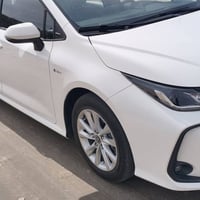 كورلا هايبرد • بصرة • حرة باسمي