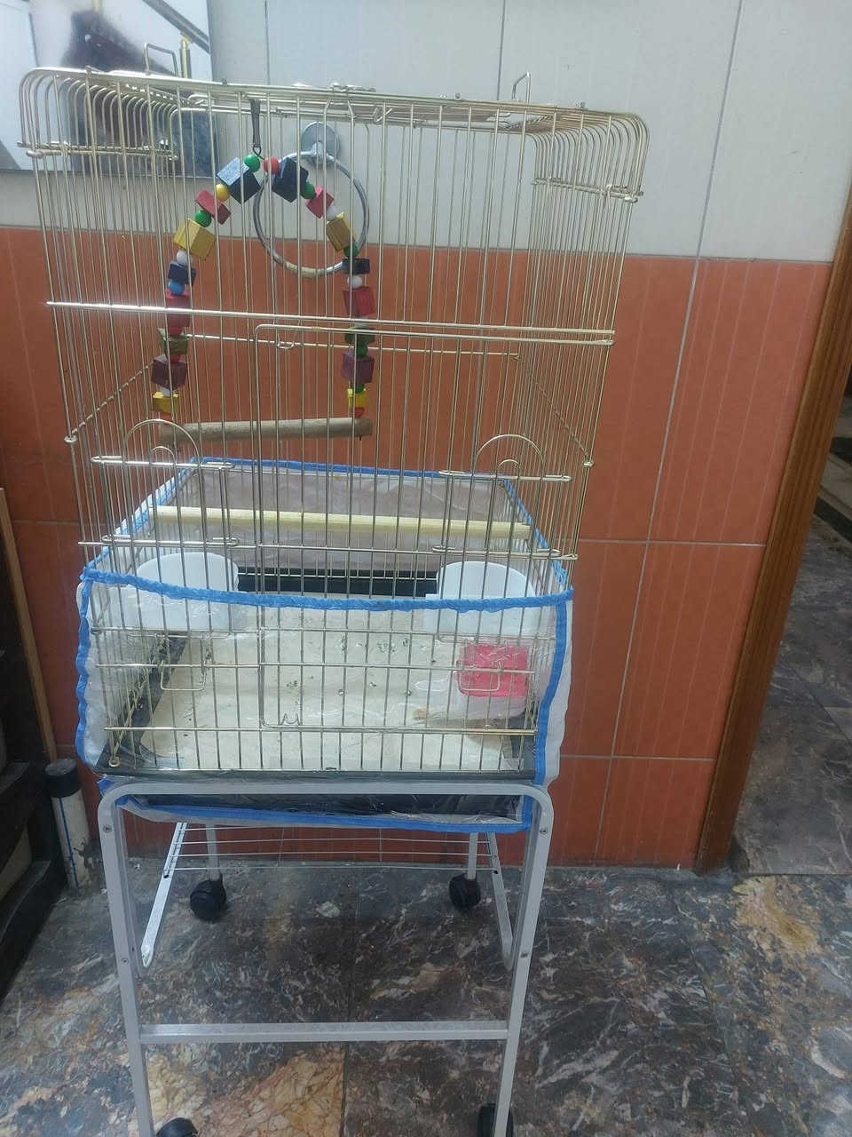 الحديد٥٠ والخشب ١٥ بغداد حي الخضراء


**إذا كنت صاحب هذا الإعلان وتريد حذفه لأي سبب، رجاءا أرسل رسالة إلى الدعم الفني**