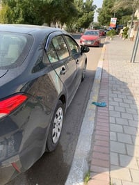 كورلا هايبرد • ٢٠٢٥ • شارع فلسطين