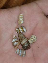 نباعي كاعنه مفرد ابيع خاص او وتساب07769167066 @إشارة