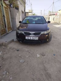 سيراتو فول • مراوس • بغداد