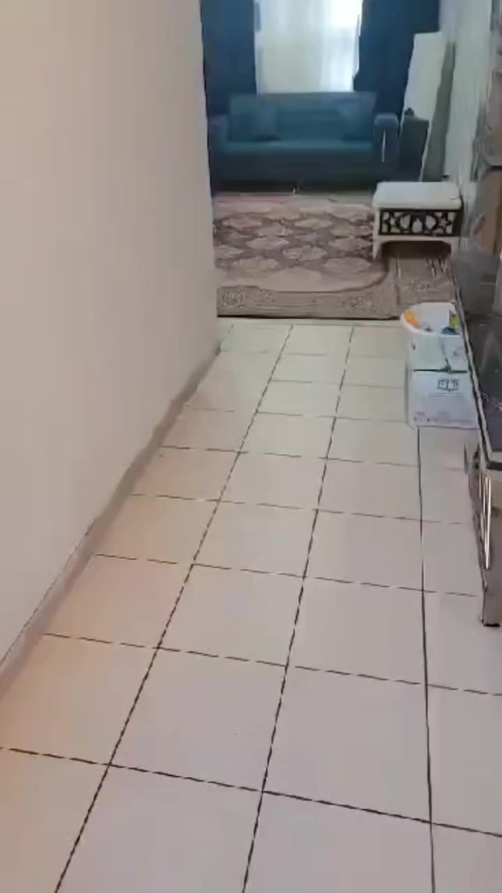 عندي شقه للايجار مساحه ١٠٠ م غربي ايجار ٦٠٠  ب A8 صايره طابق 4 بيها اثاث كاونتر + ثلاجه + تخم + بردات + سبالت عدد ٢ بالصاله و غرفه نوم رئيسيه *********** هذا رقمي
