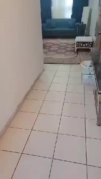 غربي • ١٠٠م • مفروشة