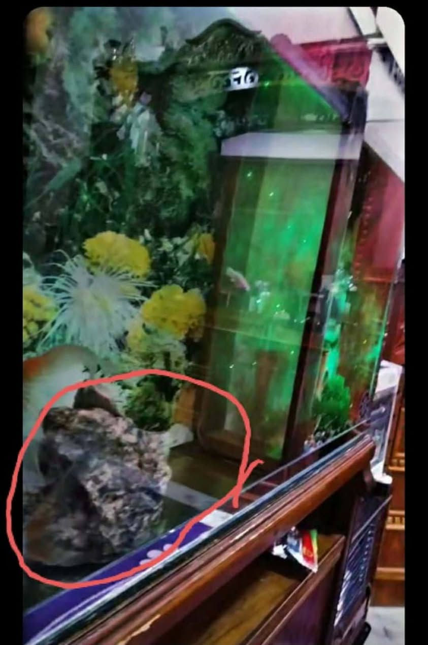 طول 100عرض 30 ارتفاع 60 حوض ومنضر ومقياس حراره وحجر


**إذا كنت صاحب هذا الإعلان وتريد حذفه لأي سبب، رجاءا أرسل رسالة إلى الدعم الفني**