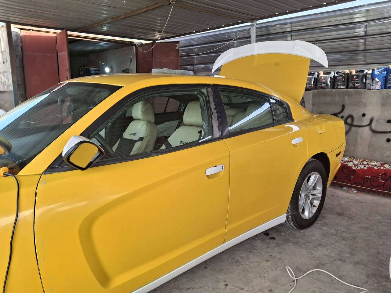 جاجر 14 مبدله فخذه جهة العبري سياره جاهزه مجهزه كير ميكينه حداديه خلفي امامي تخم تاير دوشمه جديده لايت جديد بسمي سنويه جديده تحويل ثاني يوم رقم نكليزي مصفره هئيه ومرور السعر 125 المكان ذي قار قضاء النصر هاي كافة التفاصيل الاتصال برقم *********** او واتساب *********** مراوس بخصوصي ترهم
