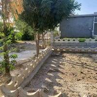 🔷ئەم باخە بۆفڕۆشتن   🚨نرخی گونـــجاوە  🔻ڕووبەری١ دۆنم و ٣٠٠ مەتر  🔻صال...