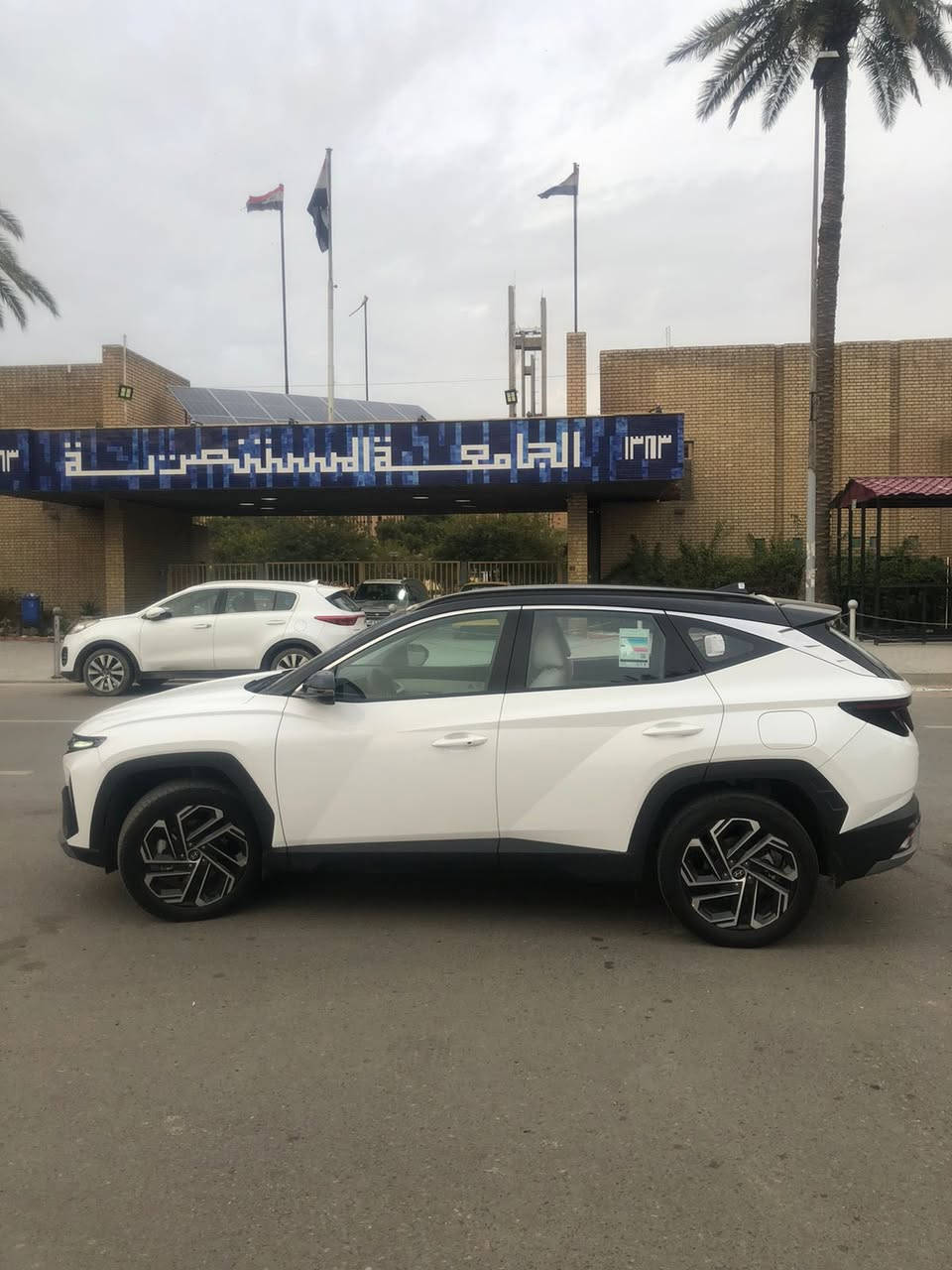 السلام عليكم ‭
توسان  2025  خليجي تو كلر فول عدا البنوراما ضمان الشركة الاولى ماشية 4000
مكفولة من الصبغ والبارد
رقم بغداد بسمي تحويل مباشر 
مكان السيارة بغداد 
السعر 237 
 اتصال /***********
اي استفسار اتصال ع الرقم .
@إشارة
