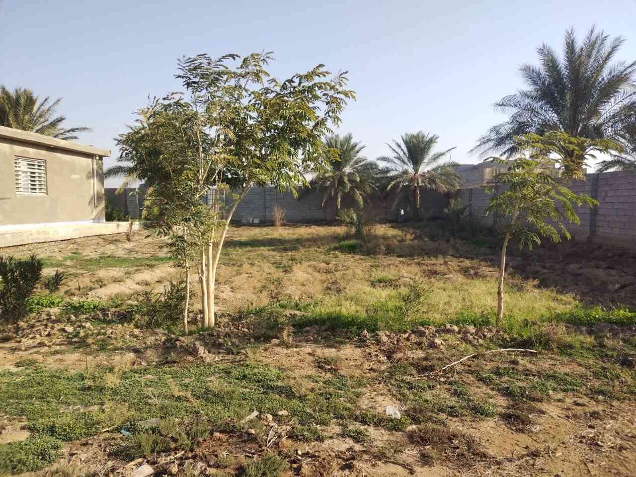 للبيع بيت مساحة 1300 طابو 25 يتحول بالاسم يتكون من طابقين 4غرف نوم  ماء كهرباء فوول بيع او ايجار لمدة سنة  والتفاصيل بلفيديو 🇮🇶 رقم راعي العقار والستد بسمه *********** ابوعلي 

ملاحظه /اي شئ عندك للبيع بيت او سياره او اغراض ننشرها لكم بعموله بسيطه  

شكرا لدعمكم 🙏
