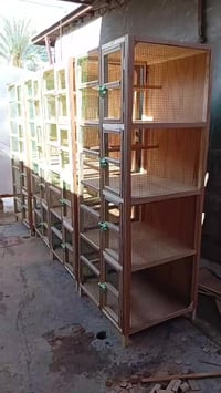 الحلة • اقفاص • خانات