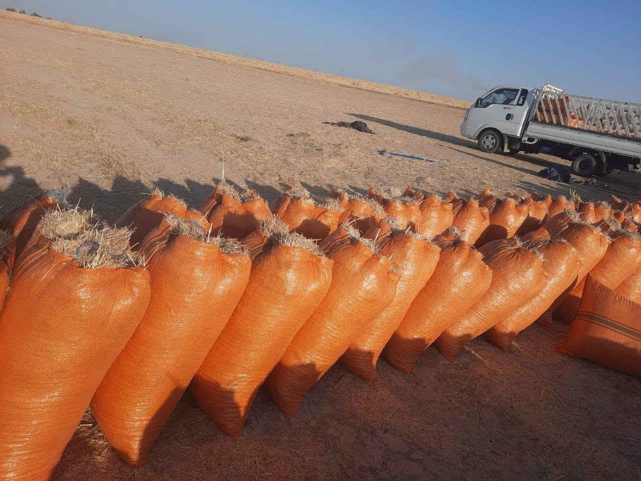 السلام عليكم يوجد تبن درجه اولى مال السنة شرط التفريق ابيض ثلج العرض 60 ارتفاع 83 الزوج مطروح بالمكان2500 توصيل موجود كل محافظات العراق ***********
***********
السلام عليكم يوجد تبن درجه اولى مال السنة شرط التفريق ابيض ثلج العرض 60 ارتفاع 83 الزوج مطروح بالمكان2500 توصيل موجود كل محافظات العراق ***********
