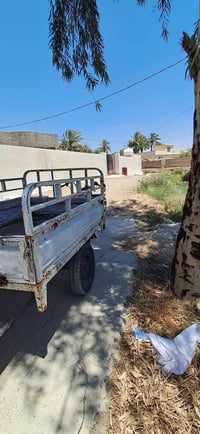 ستوته • دايوان • موديل 13