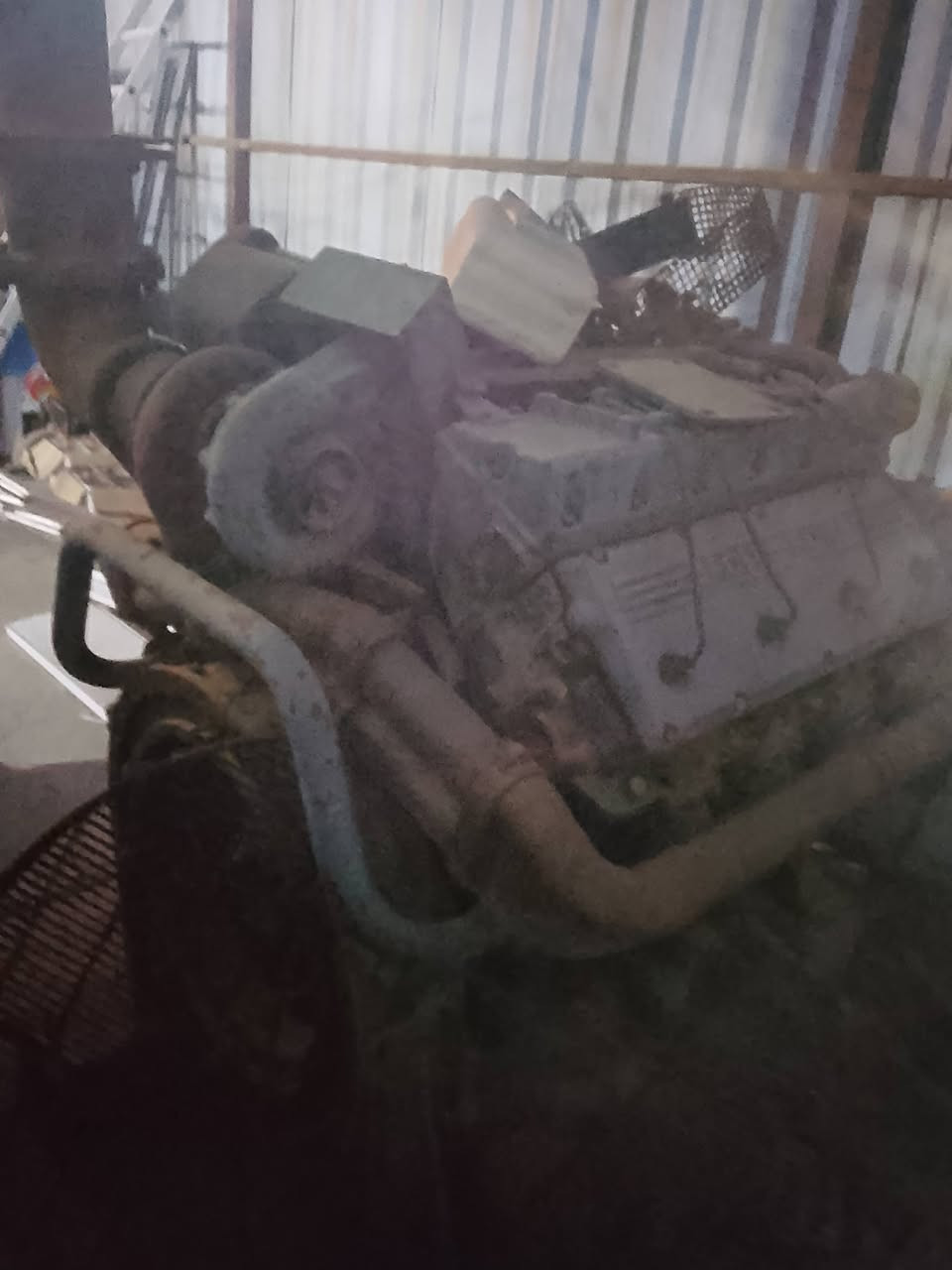 روز رايز للبيع واحد 250 كيف ***********
