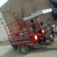 ستوته • محجل • بلرمادي