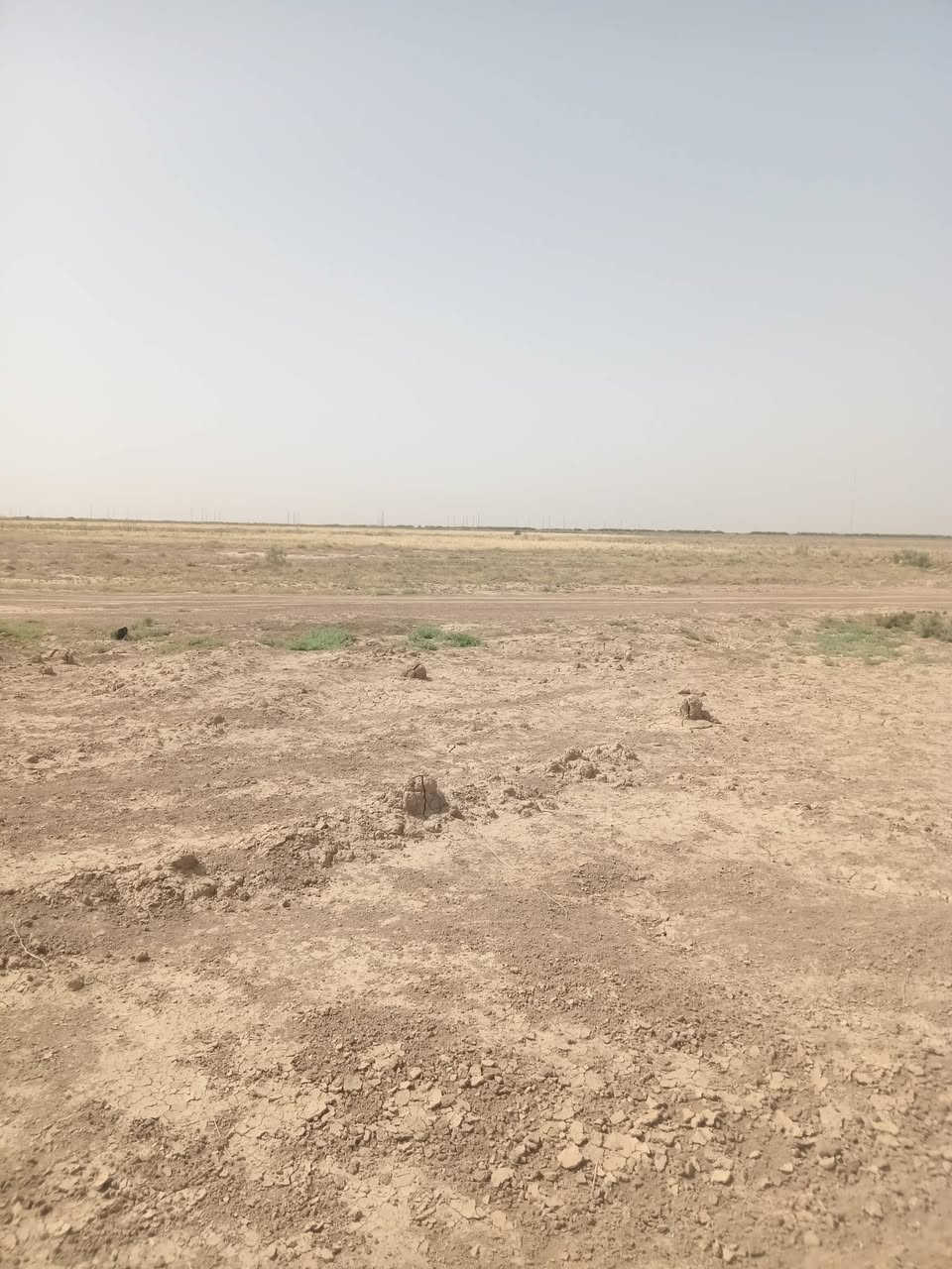 سلام عليكم
موقع جديد. في ناحيه كنعان مقابيل محطه حجي ذياب
الموقع صار يومين من فتحنا دوانم طابو زراعي سند 25
يعني تحويل مباشر بأسم المشتري المبيع منهن من رقم 1.  لحد رقم 6.  عندي من 7 وفوق بعدهن لي يدور سكن او ستثمار او الباقي المشاريع لاخره يبعدن عن شارع الرئيسي بحدود 400 متر لاستفسار تصل على هذه الرقم *********** او ***********
