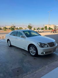 شاهين • ٢٠٠٧ • لوحة عراقية