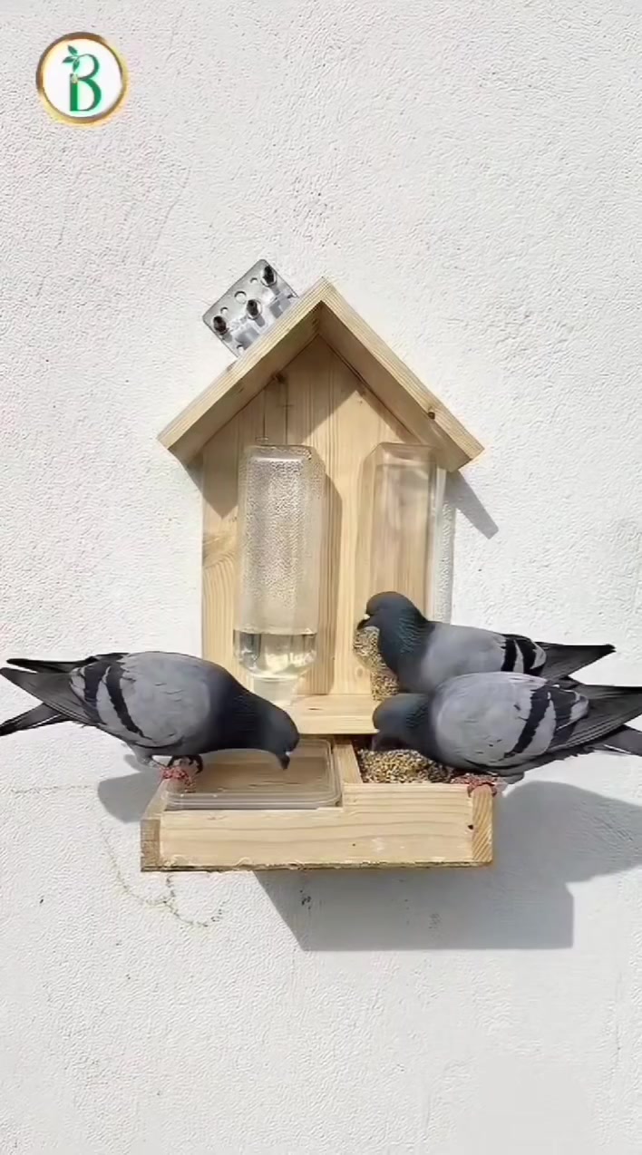 معلف ومسقي طيور (للعصافير والحمام) 🕊️
​من صنع أيادي فنيينا المبدعين والمهرة 🧑‍🔧🧑‍🎨
تصميم عصري وجذاب يناسب حدائقكم والأماكن الخارجية 🏕️🏡
​المميزات:
​🌧️🌞 مقاوم للعوامل الجوية: يتحمل الأمطار وحرارة الشمس القوية.
​📦 المكونات: يتكون من عبوتين (١ دبة) + حوض ماء.
​🌾 هدية خاصة: تحصلون على عبوتين من القمح مجاناً مع كل طلب.
​💰 السعر قطعه :  15   ألف دينار توصیل مجاني
 و قطعتين 25 ألف توصيل مجاني 
​🚚 توجد خدمة توصيل لجميع المناطق
​للطلب أو الاستفسار، يرجى مراسلتنا عبر الخاص أو الاتصال بنا على الرقم التالي:
☎️ ***********
(متوفر واتساب وفايبر)
