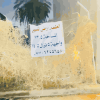 قطعة ارض للبيع مساحه ٧٣ ونص واقع حال ٧٥ زراعي مقابيل بابا جامعة المستنصريه


**إذا كنت صاحب هذا الإعلان وتريد حذفه لأي سبب، رجاءا أرسل رسالة إلى الدعم الفني**