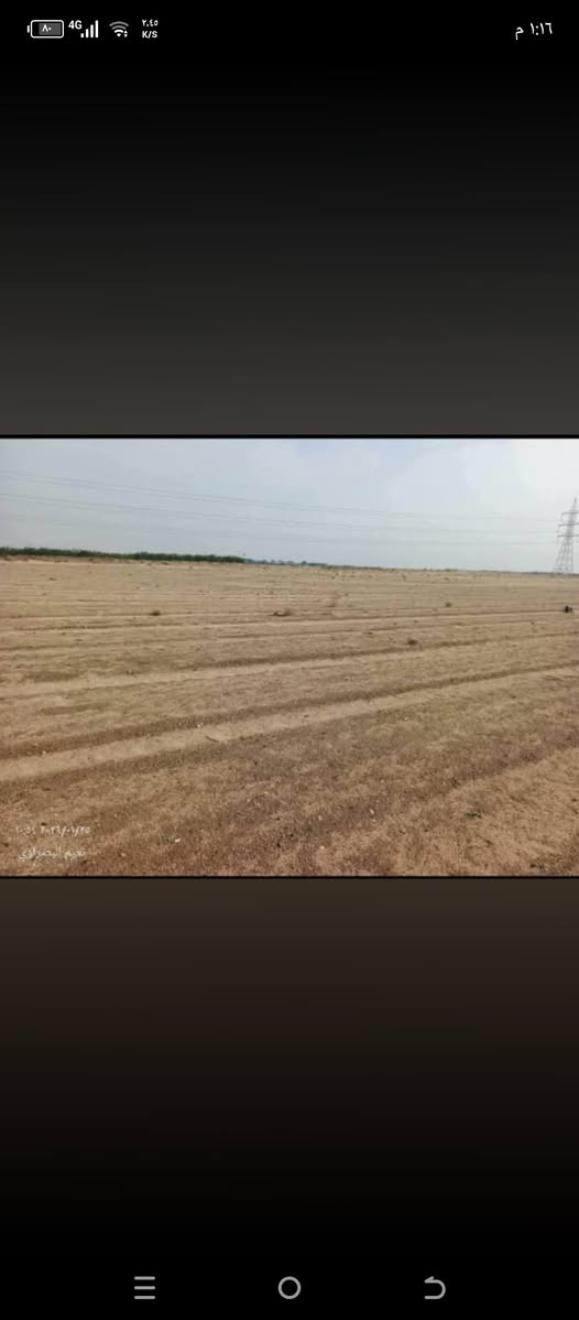 سلام عليكم اخواني عندي مزرعه للايجار المكان البصره أم قصر بل هدامه ***********
