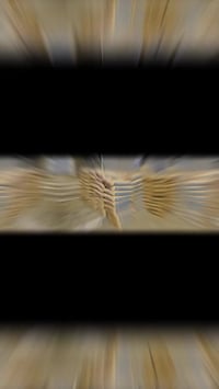 ساحة سعد البصرة • تجهيز أسمنت • أسمنت أسود أبيض